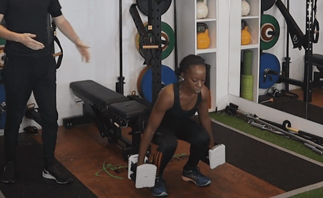 DB Squat